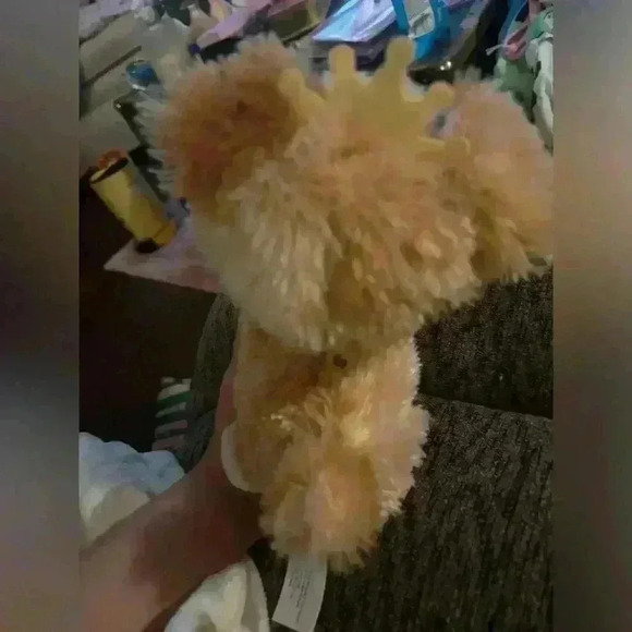 Disney pup Minnie Mouse - Picture 6 of 6